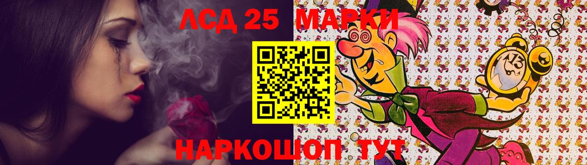 Бердск  Лсд 25 экстази кислота  LSD-25 экстази кислота  Лсд 25 экстази  Вход с VPN 