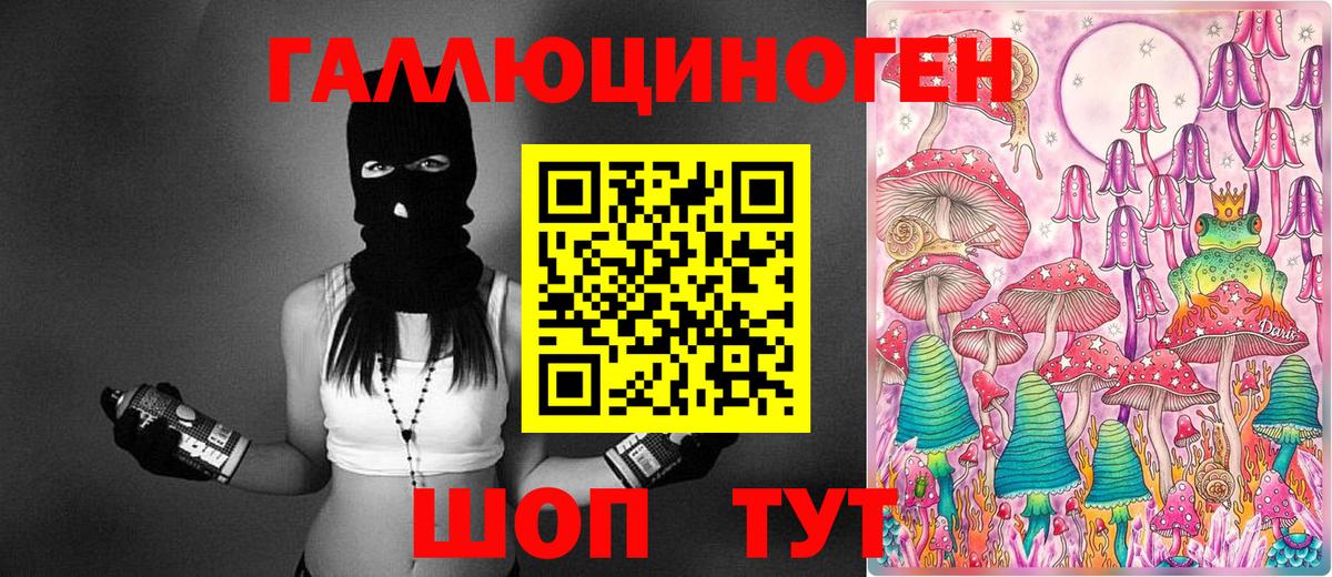 Галлюциногенные грибы Cubensis Бердск