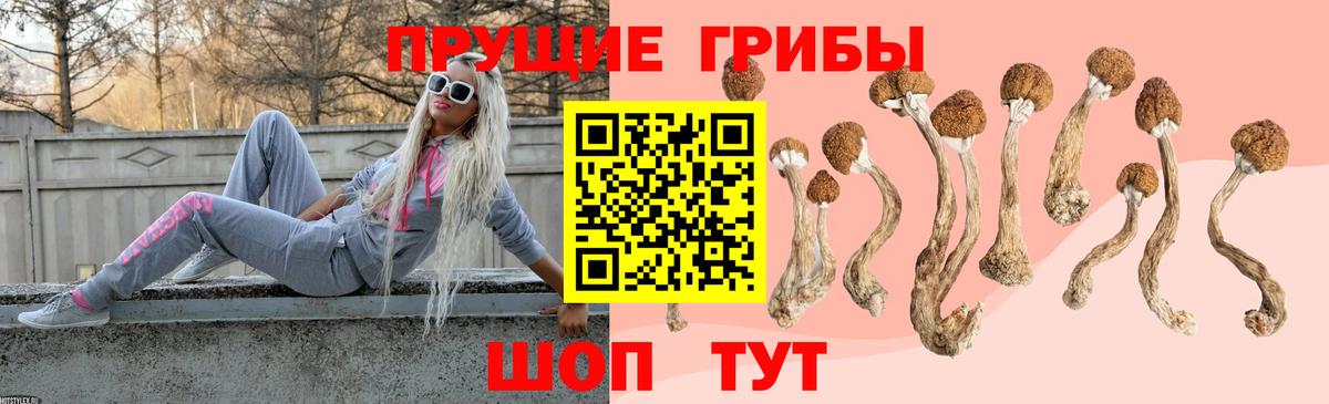 цены наркотик  Вход с VPN  Бердск  Галлюциногенные грибы прущие грибы 