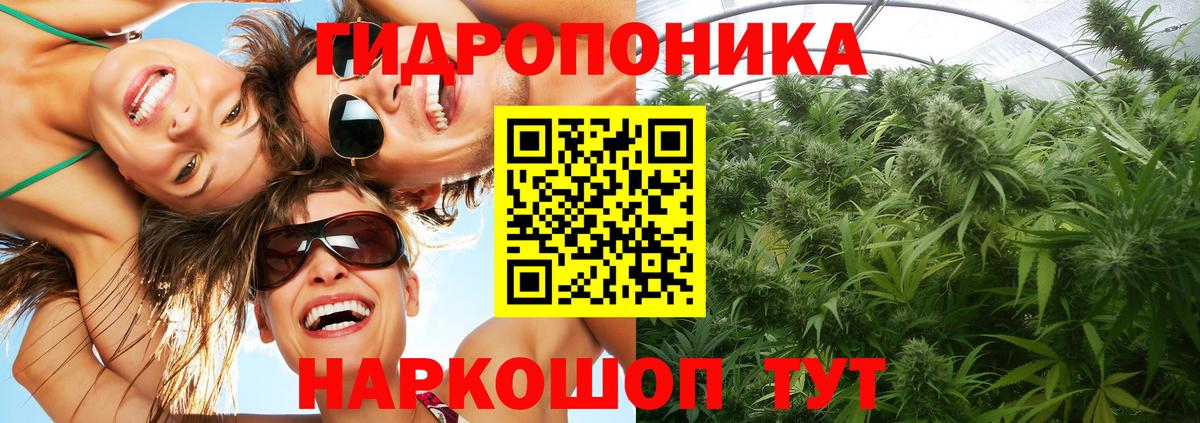 Марихуана планчик  Каннабис гибрид  Вход с VPN  Бердск  Конопля LSD WEED 