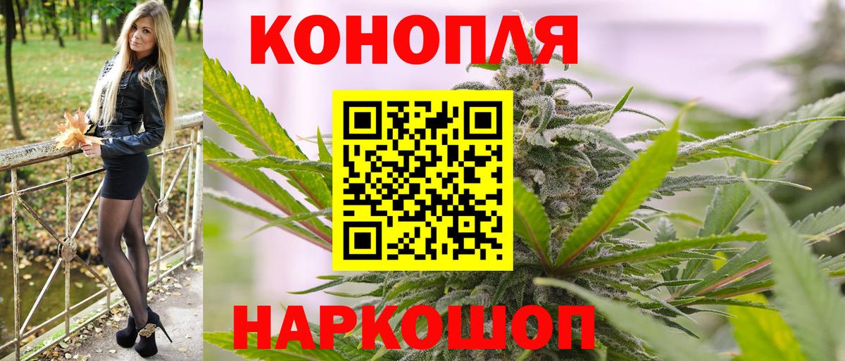 Шишки марихуана семена Бердск